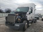 2021 Freightliner Cascadia 126