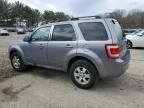 2008 Ford Escape Limited