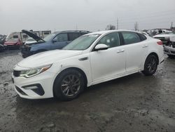 Salvage cars for sale at Eugene, OR auction: 2020 KIA Optima LX