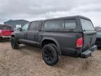 2000 Dodge Dakota Quattro