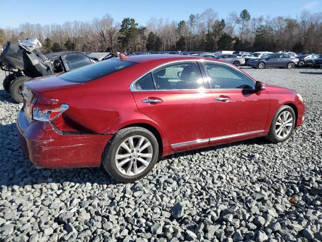 2010 Lexus ES 350