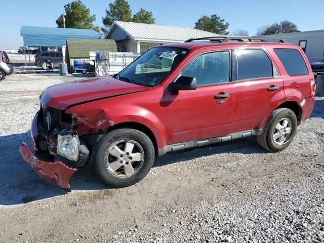 2011 Ford Escape XLT