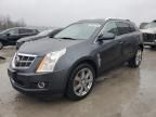 2010 Cadillac SRX Performance Collection