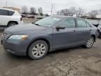 2009 Toyota Camry Hybrid