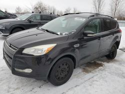 2013 Ford Escape SEL en venta en London, ON