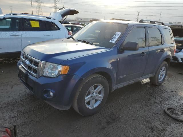 2008 Ford Escape HEV