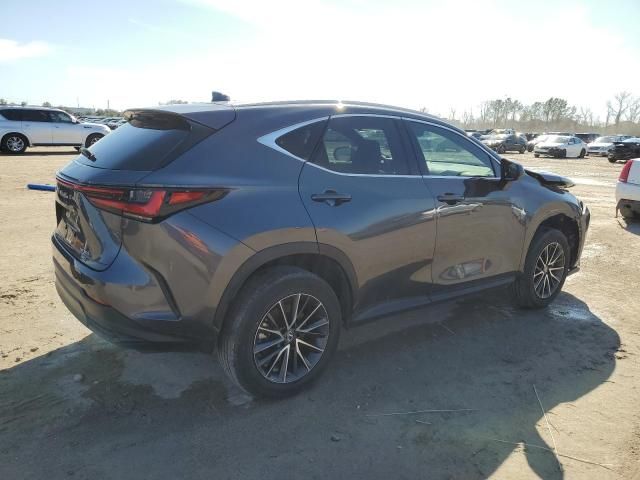 2023 Lexus NX 350