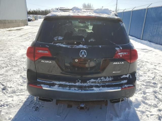 2010 Acura MDX Advance