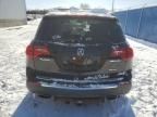 2010 Acura MDX Advance