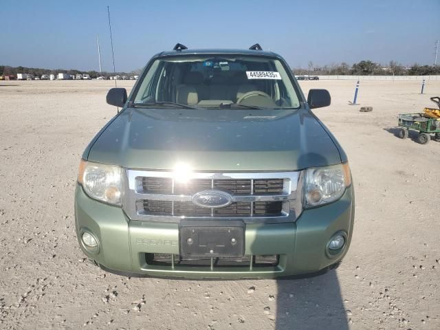 2008 Ford Escape XLT