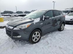 Salvage cars for sale from Copart East Granby, CT: 2016 Ford Escape SE