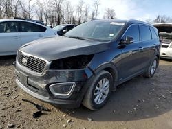 Salvage cars for sale at Baltimore, MD auction: 2017 KIA Sorento LX