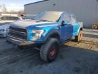 2019 Ford F150 Raptor