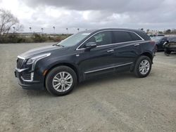 Salvage cars for sale from Copart San Diego, CA: 2021 Cadillac XT5 Luxury