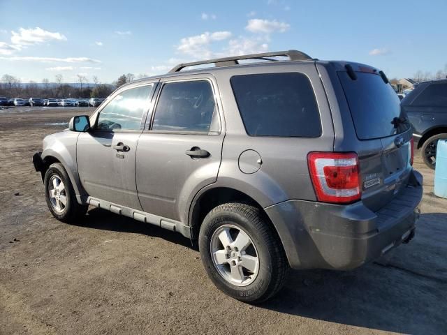 2011 Ford Escape XLT