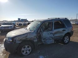 2005 Ford Escape XLT en venta en Des Moines, IA