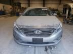 2015 Hyundai Sonata ECO