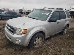 Salvage cars for sale at Houston, TX auction: 2008 Ford Escape XLT