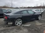 2014 Dodge Charger R/T