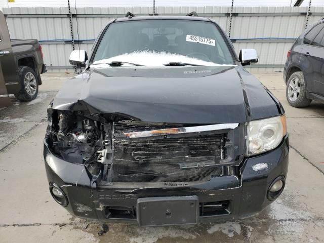 2008 Ford Escape XLT