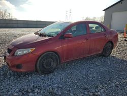 Toyota Corolla salvage cars for sale: 2010 Toyota Corolla Base