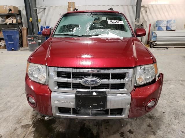 2008 Ford Escape Limited