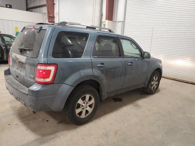 2010 Ford Escape Limited