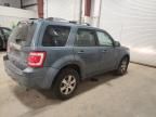 2010 Ford Escape Limited