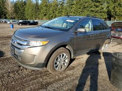 2013 Ford Edge Limited en venta en Graham, WA