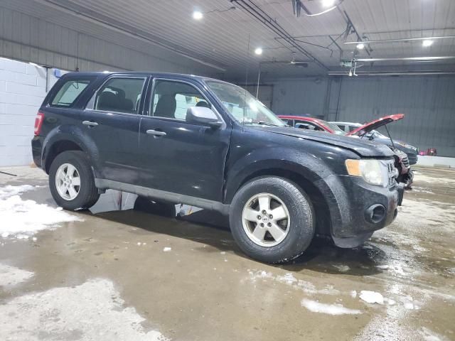 2010 Ford Escape XLS