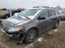 Salvage cars for sale at Brighton, CO auction: 2012 Honda Odyssey EXL