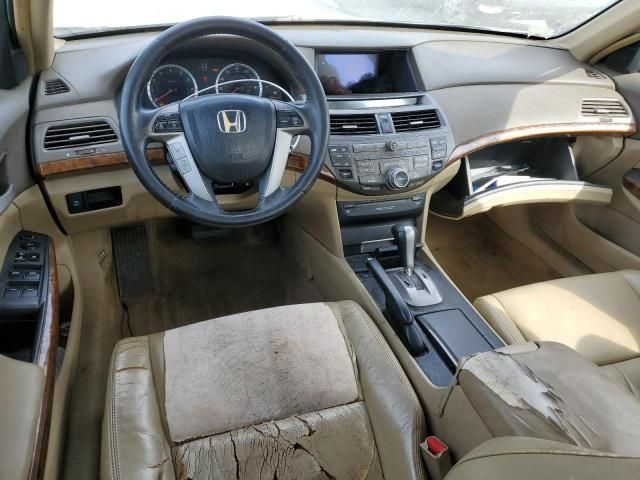 2008 Honda Accord EXL