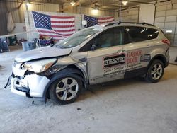 Salvage cars for sale at Columbia, MO auction: 2015 Ford Escape SE