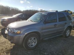 Run And Drives Cars for sale at auction: 2007 Ford Escape XLT