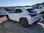 2019 Lexus UX 250H