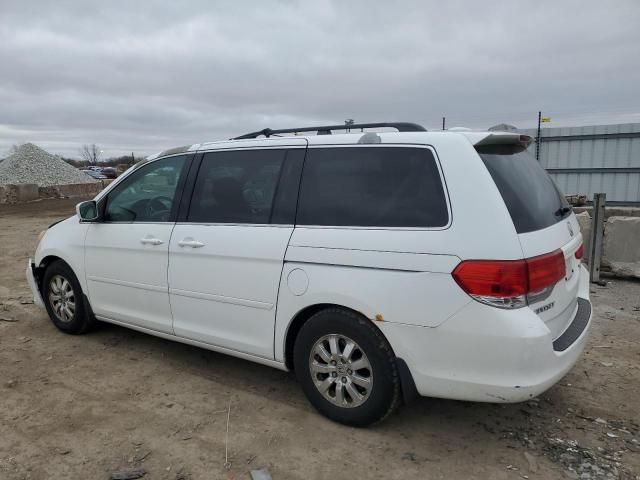 2008 Honda Odyssey EXL