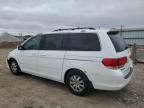 2008 Honda Odyssey EXL