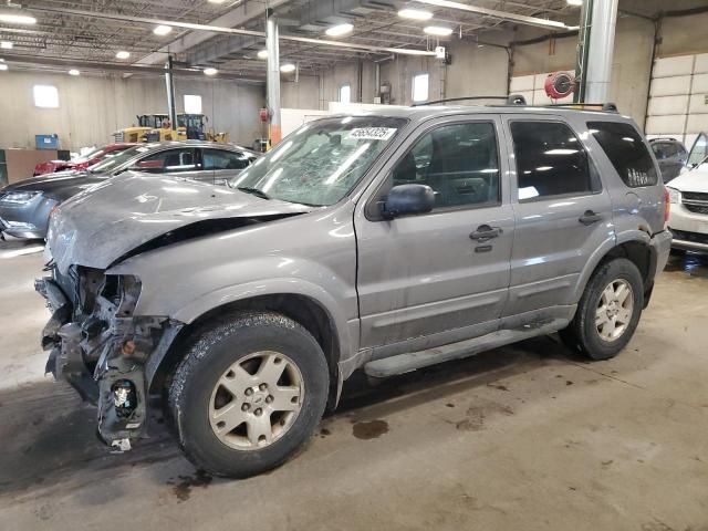 2007 Ford Escape XLT