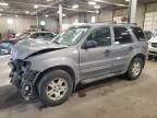 2007 Ford Escape XLT