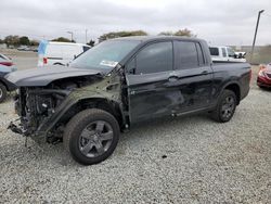 Salvage cars for sale at San Diego, CA auction: 2024 Honda Ridgeline Trail Sport