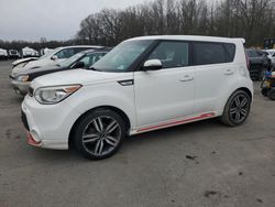 Salvage cars for sale at Glassboro, NJ auction: 2014 KIA Soul +