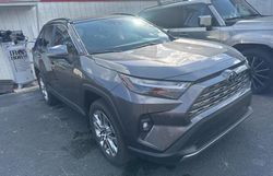 Salvage cars for sale at Orlando, FL auction: 2024 Toyota Rav4 Limited