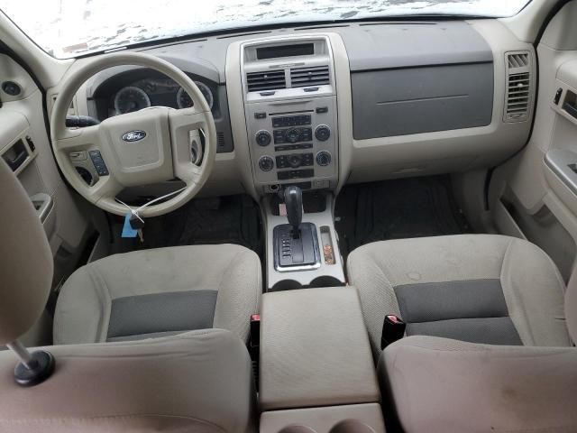 2008 Ford Escape XLT