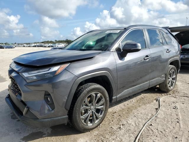 2024 Toyota Rav4 XLE Premium