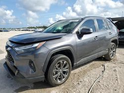 Salvage cars for sale at West Palm Beach, FL auction: 2024 Toyota Rav4 XLE Premium