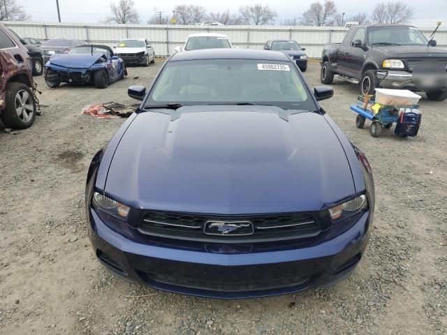 2010 Ford Mustang