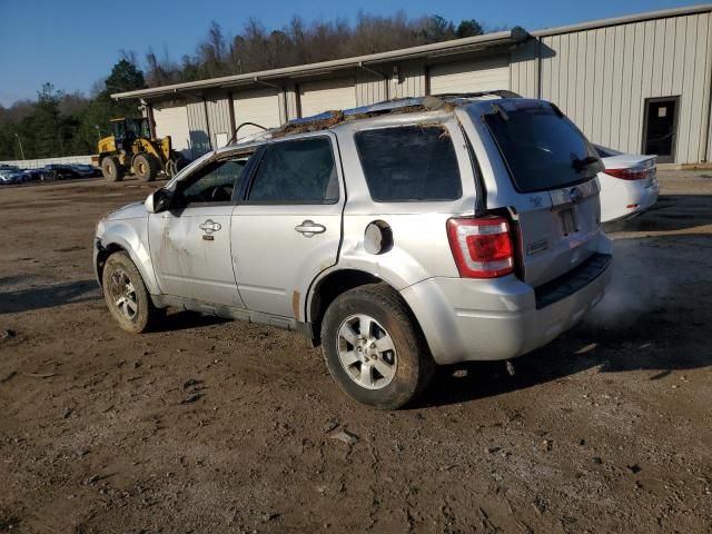 2011 Ford Escape Limited