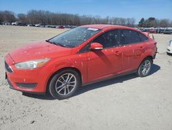 Vehiculos salvage en venta de Copart Conway, AR: 2016 Ford Focus SE