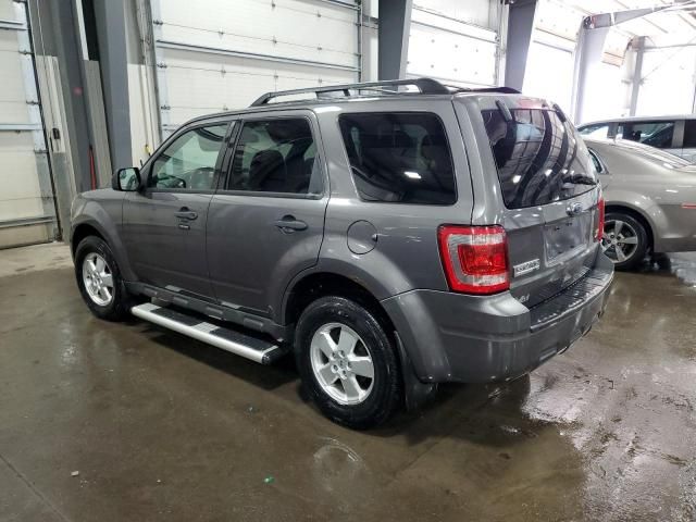 2012 Ford Escape XLT