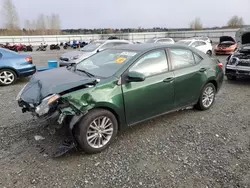 Toyota Corolla salvage cars for sale: 2014 Toyota Corolla L